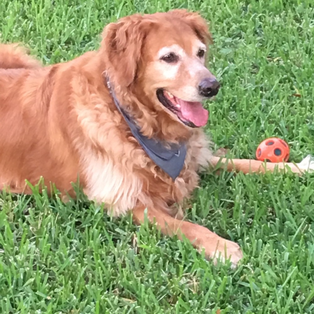 Meet your Posher, Karsen